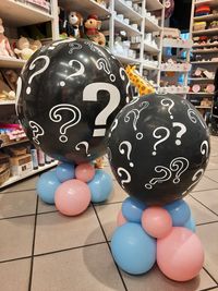 Gender Ballons gro&szlig; und klein