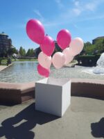 Ballon Box gefüllt mit Helium Ballons