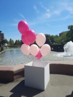 Ballon Box gefüllt mit Helium Ballons – Bild 10