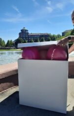 Ballon Box gefüllt mit Helium Ballons – Bild 2