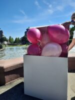 Ballon Box gefüllt mit Helium Ballons – Bild 5