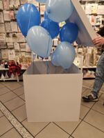 Ballon Box gefüllt mit Helium Ballons – Bild 17